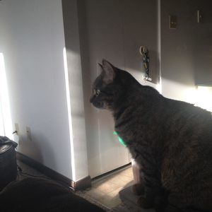 Meet your Posher, Glen